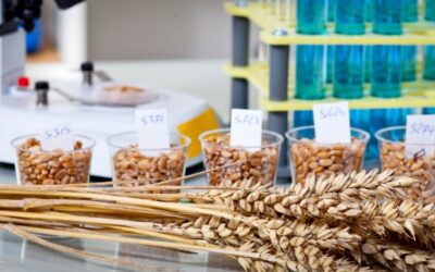 Proximate Analysis: Ensure your food quality