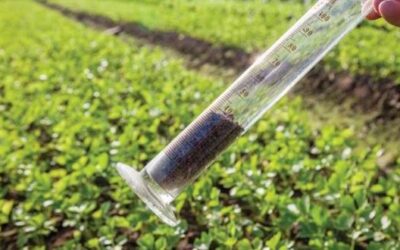 Here’s Everything you Need to Know About Soil Testing & Analysis