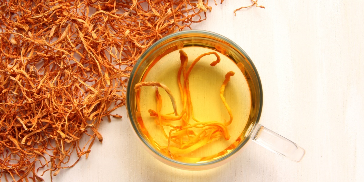 Cordyceps Mushroom Extract