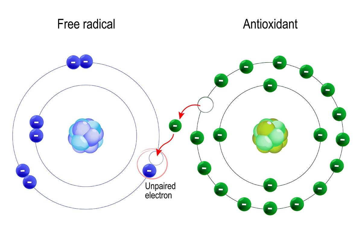 Free Radicals and