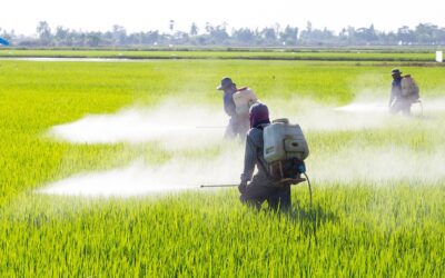 Detecting pesticide residues in water sources importance and testing procedures