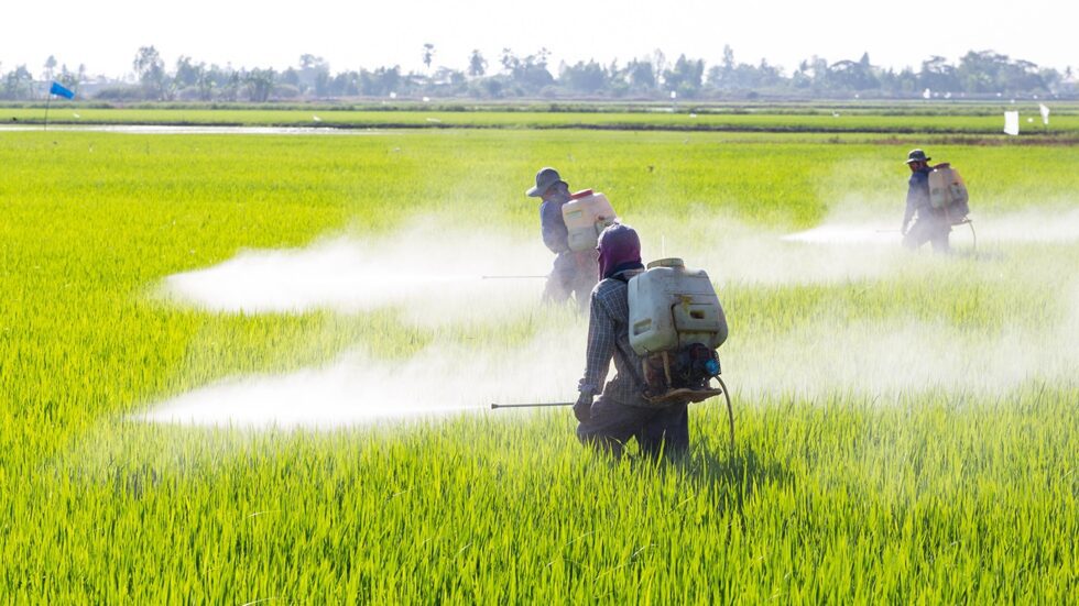 Detecting pesticide residues in water sources importance and testing ...