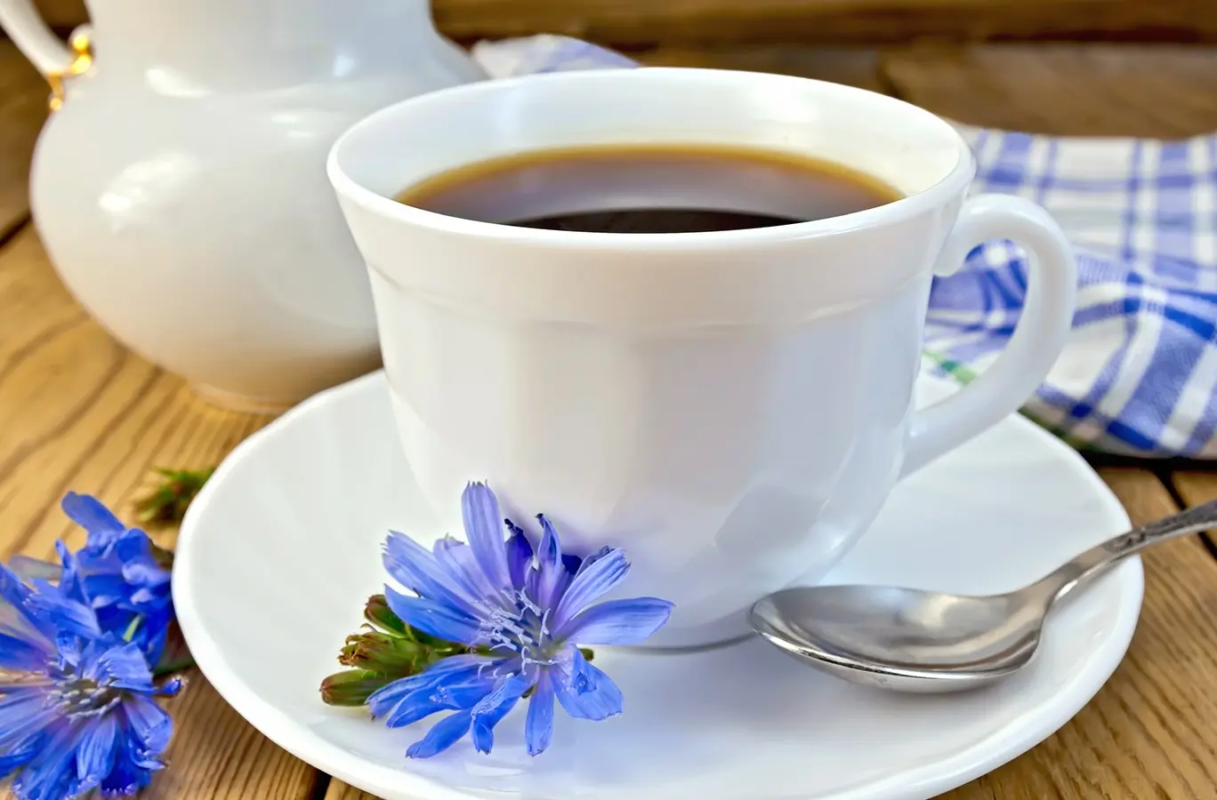 Chicory (Cichorium intybus L.) is used as an adulterant or substitute for coffee or tea