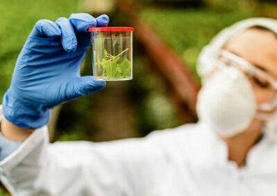Careers at Cultivator Phyto Lab - Join Our Expert Team 11 closeup scientist examining sample plant test bottle while working greenhouse