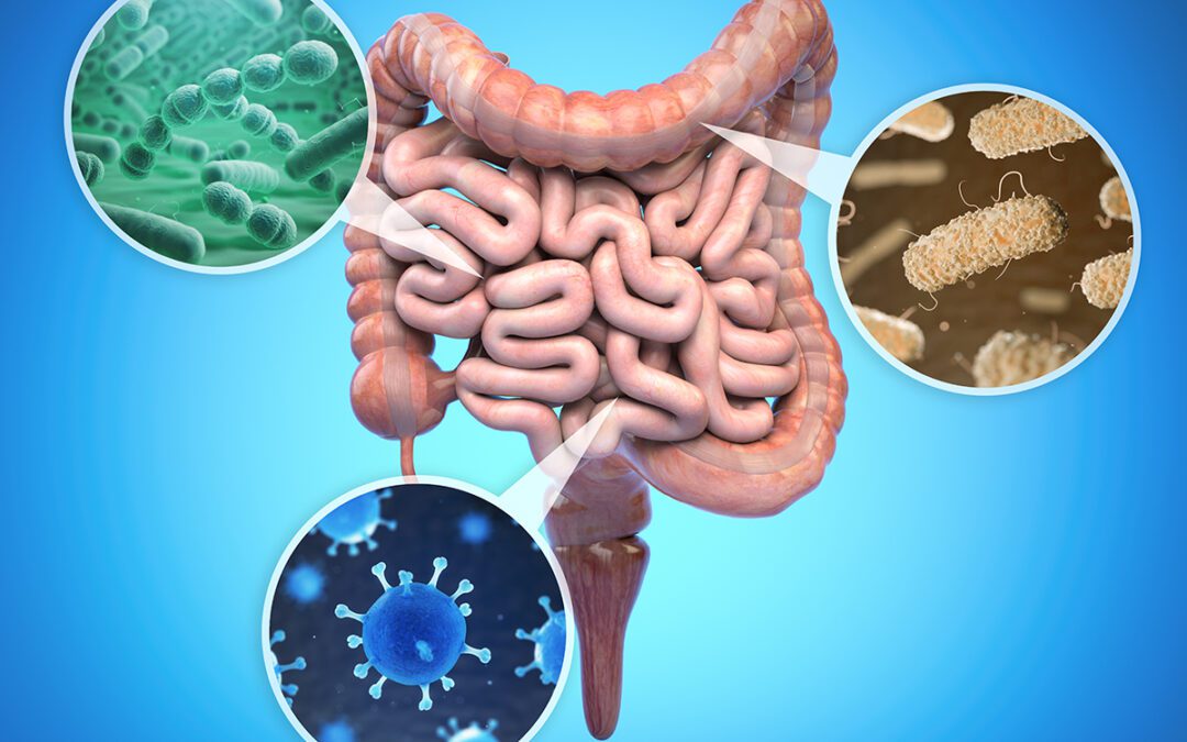 Unlocking Microbial Mysteries: A Guide to Analytical Profile Index (API)
